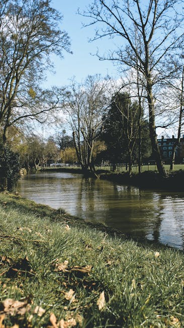 A scenic view of a peaceful river flowing through Cassiobury Park in Watford WD17 on a clear day, with leafless trees lining the riverbank and a glimpse of historic buildings in the background. The sk